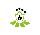 Floral Motif